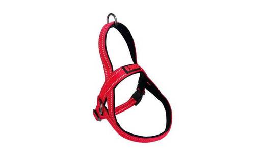 Kong Norwegian Harness Dog Large Lead - Red