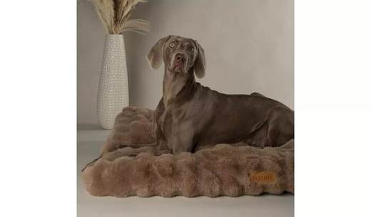 Scruffs Alpine Taupe Dog Mattress - Large