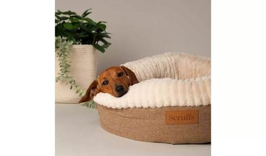 Scruffs Ellen Tan Donut Dog Bed - Extra Large
