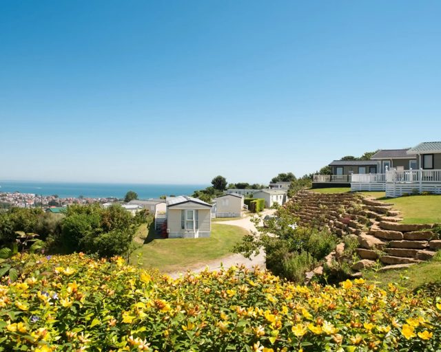 Swanage Coastal Park, Dorset